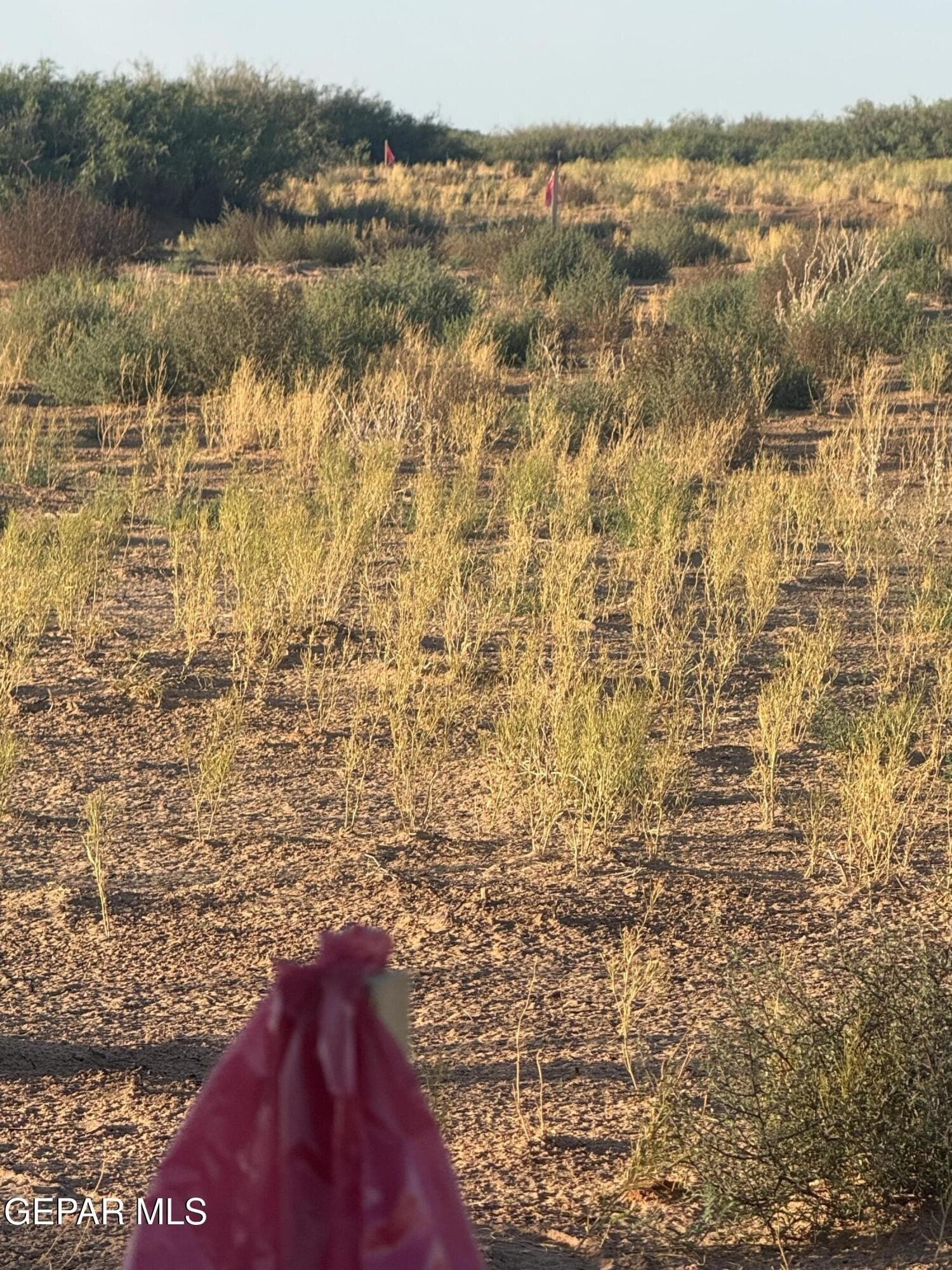 0.26 acres in El Paso County - photo 29