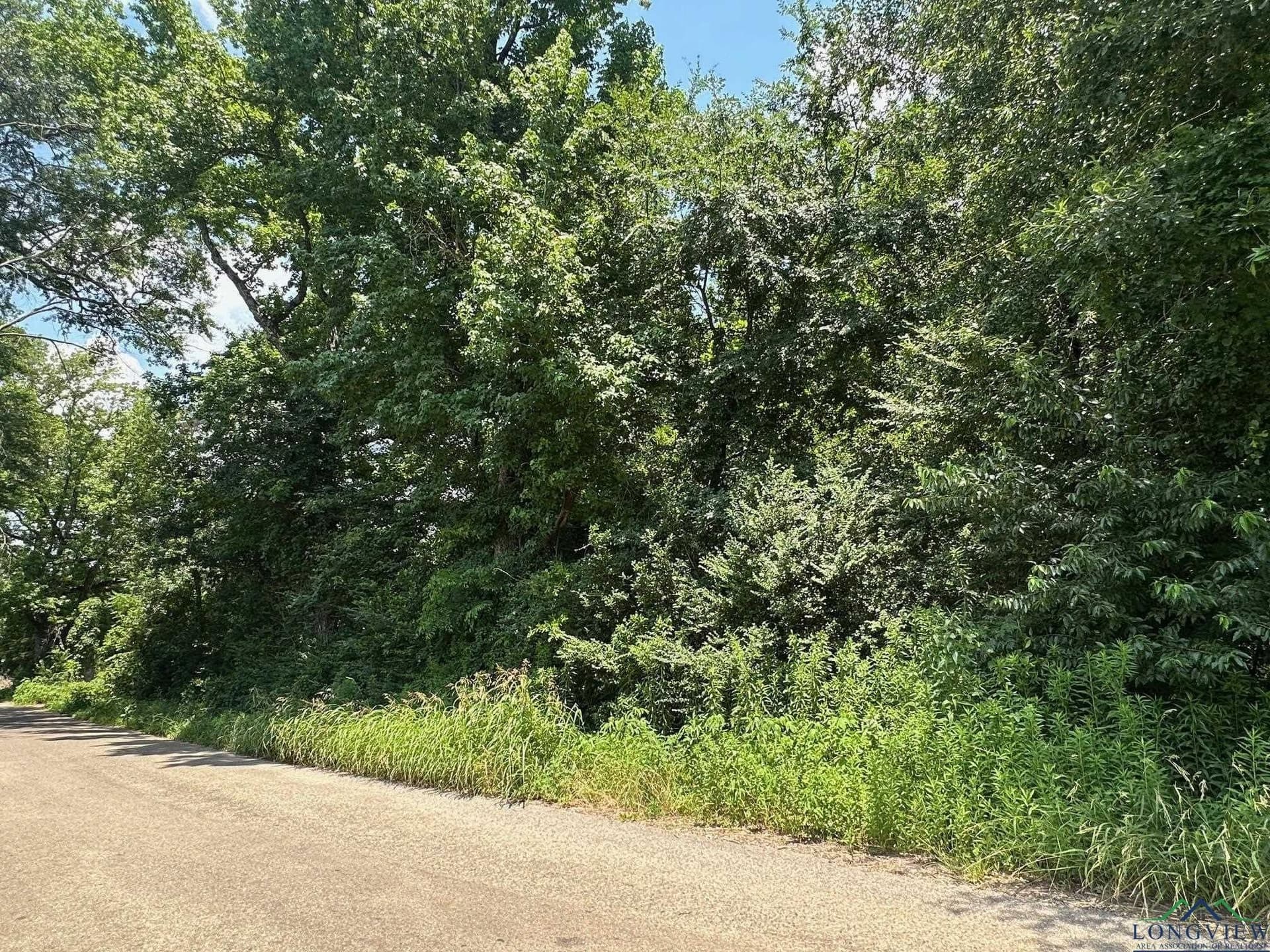 2 acres in Texas County gallery image 3