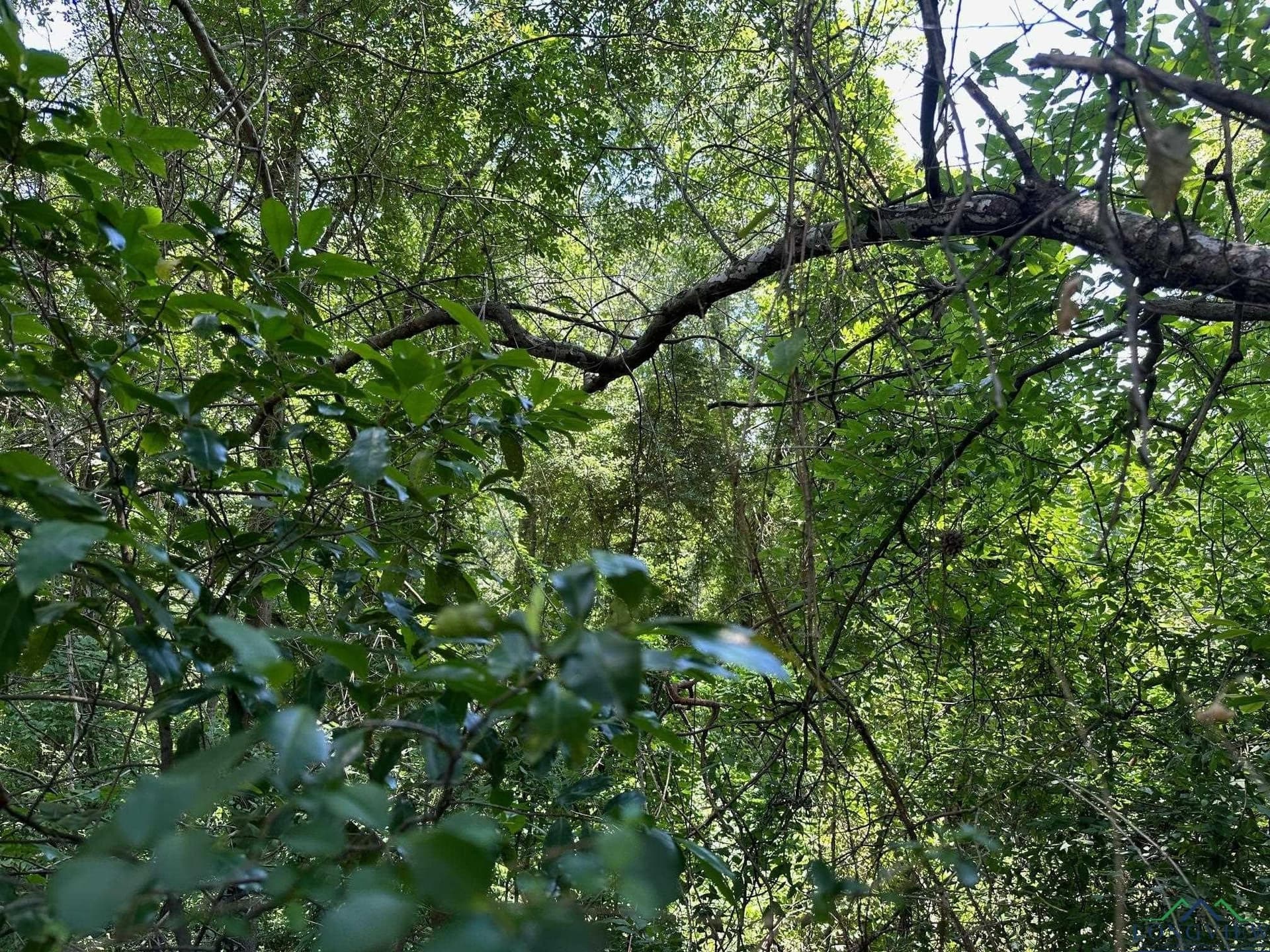 2 acres in Texas County featured view