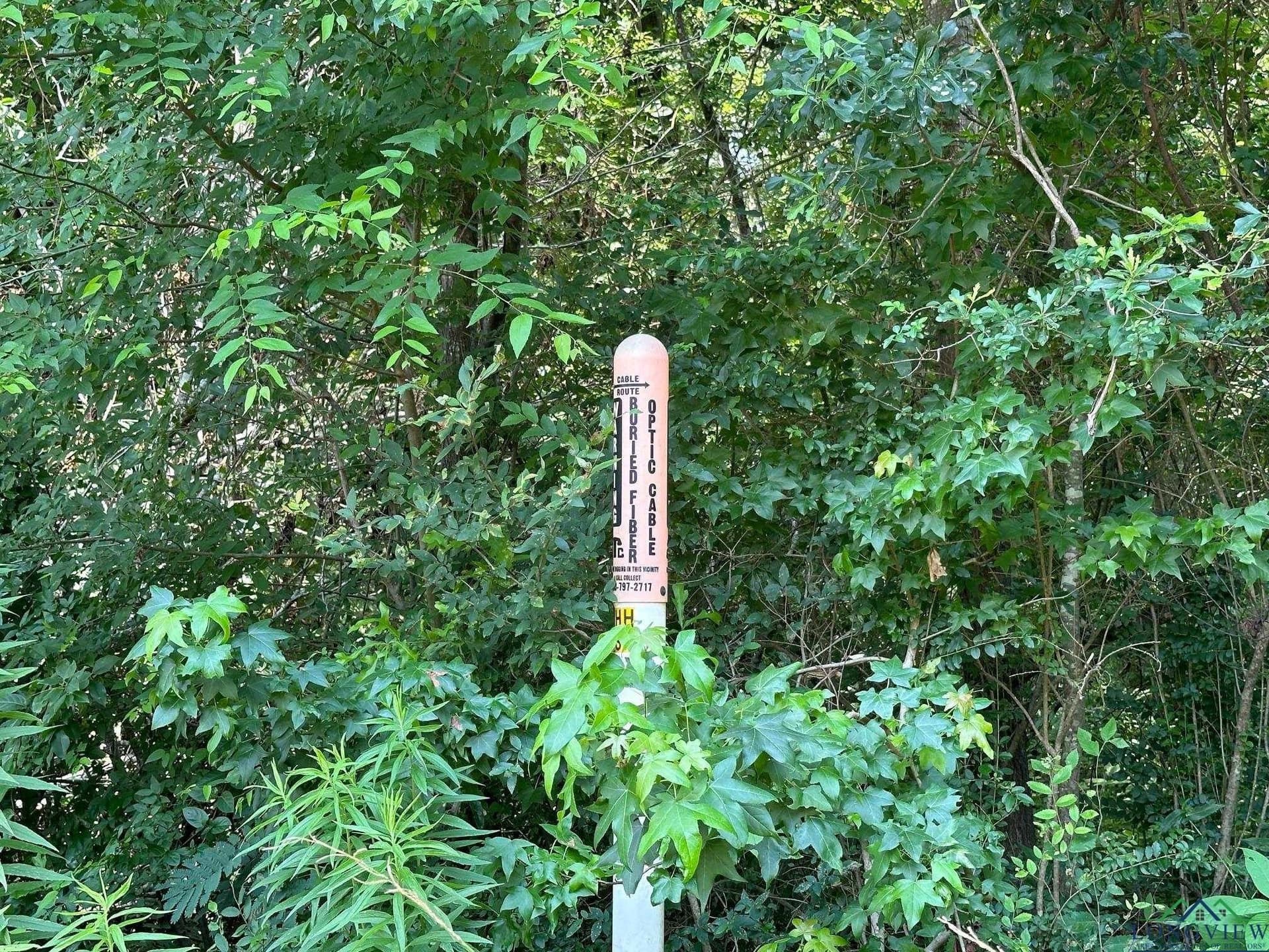 2 acres in Texas County gallery image 2