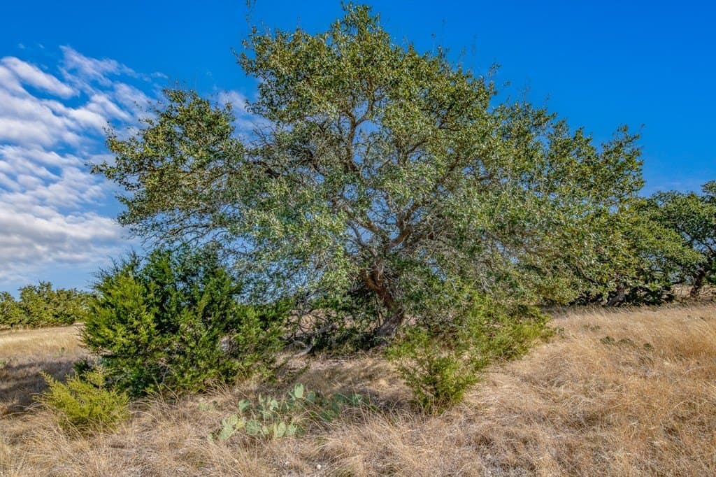 18.1 acres in Kerr County - photo 9