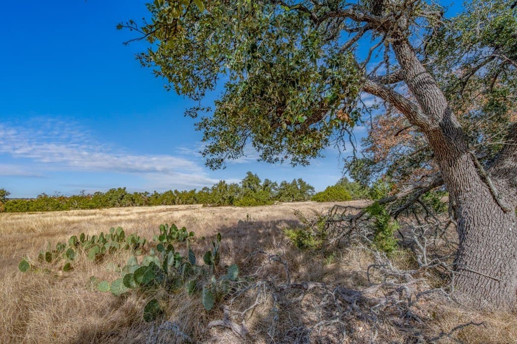 18.1 acres in Kerr County - photo 10