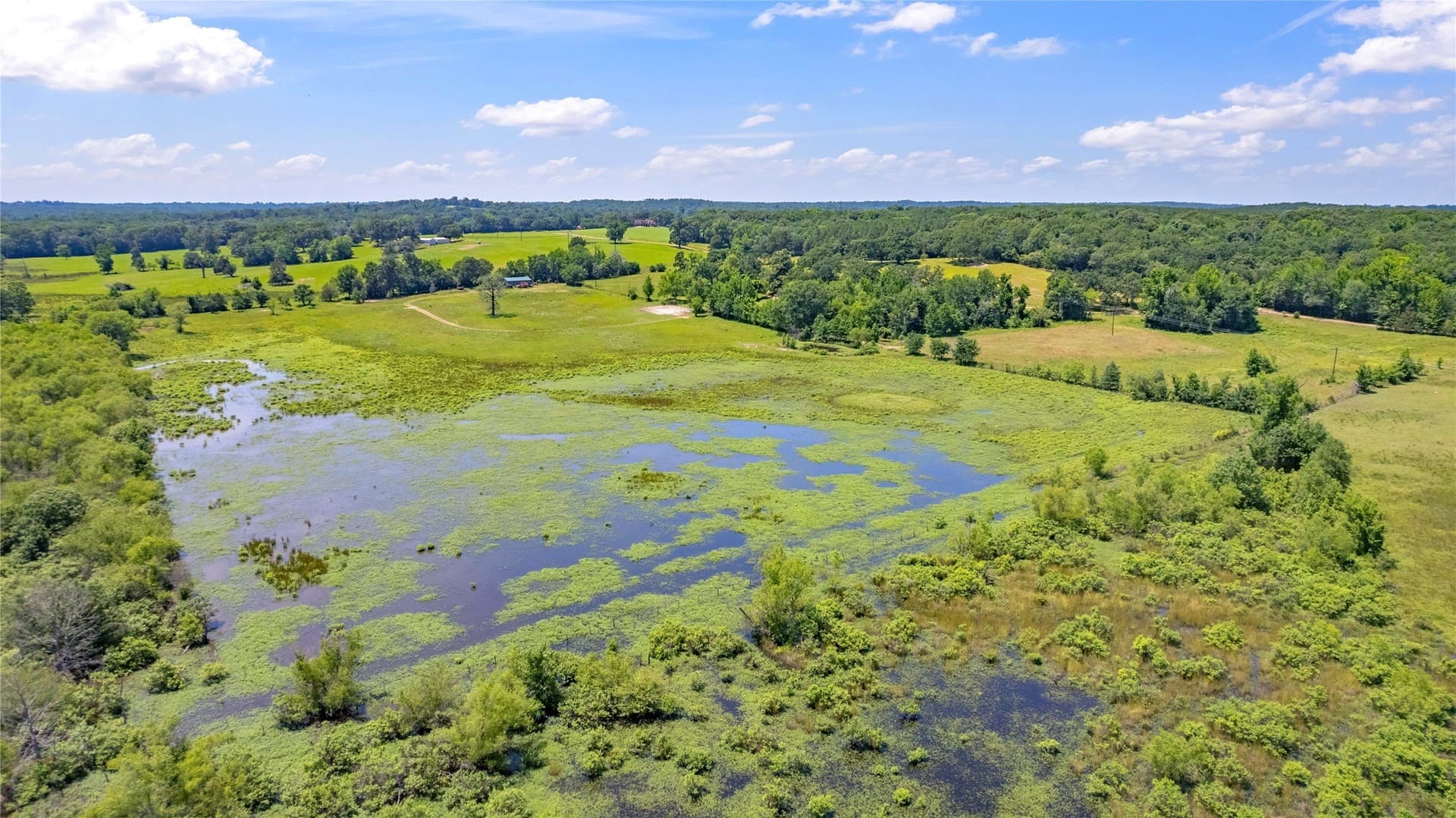 70.17 acres in Henderson County - photo 7