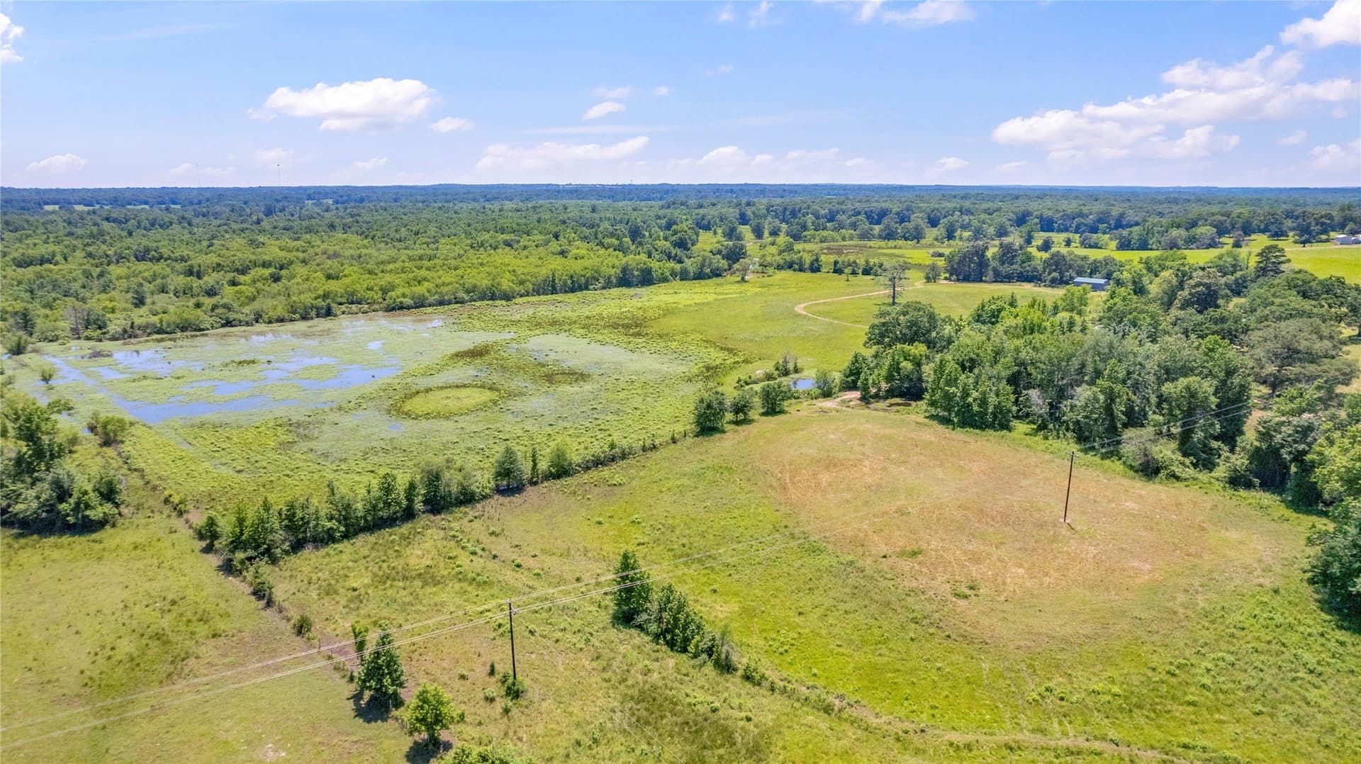 70.17 acres in Henderson County - photo 3