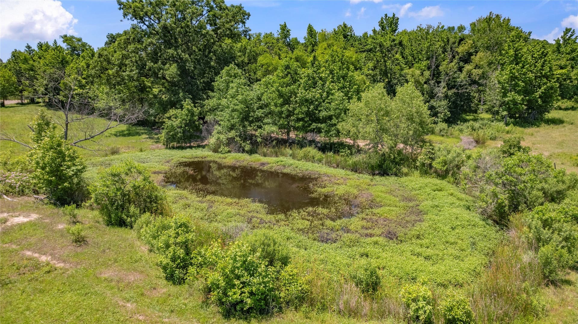 70.17 acres in Henderson County - photo 21