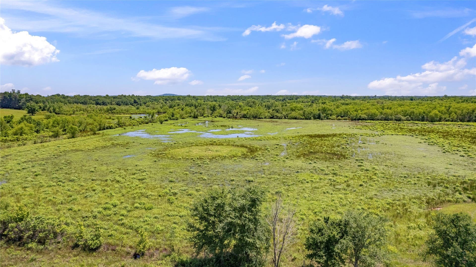 70.17 acres in Henderson County - photo 20