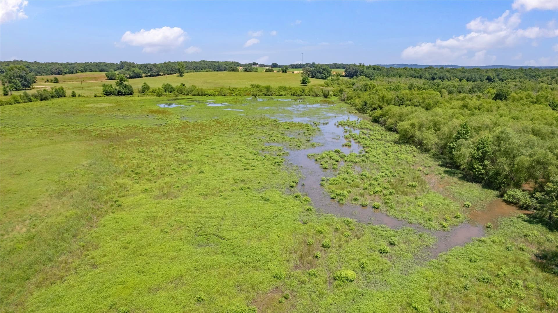 70.17 acres in Henderson County - photo 23