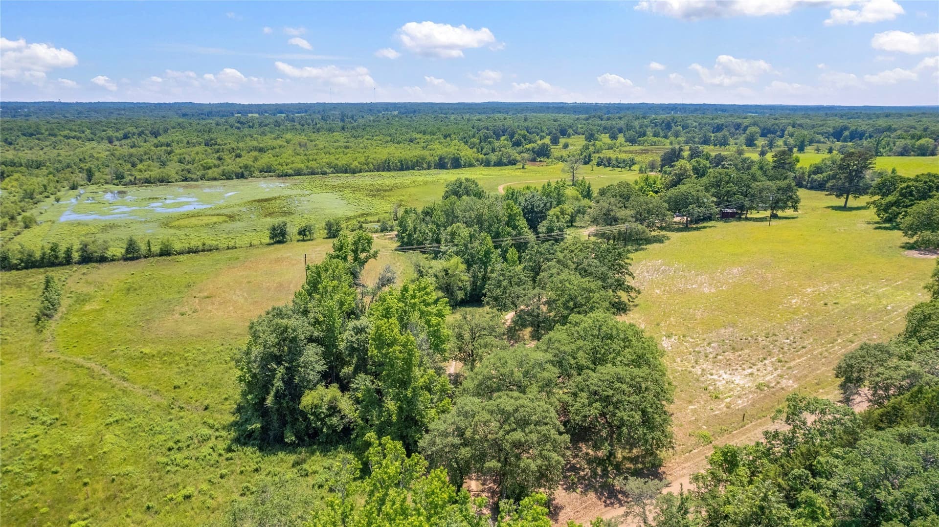 70.17 acres in Henderson County - photo 12