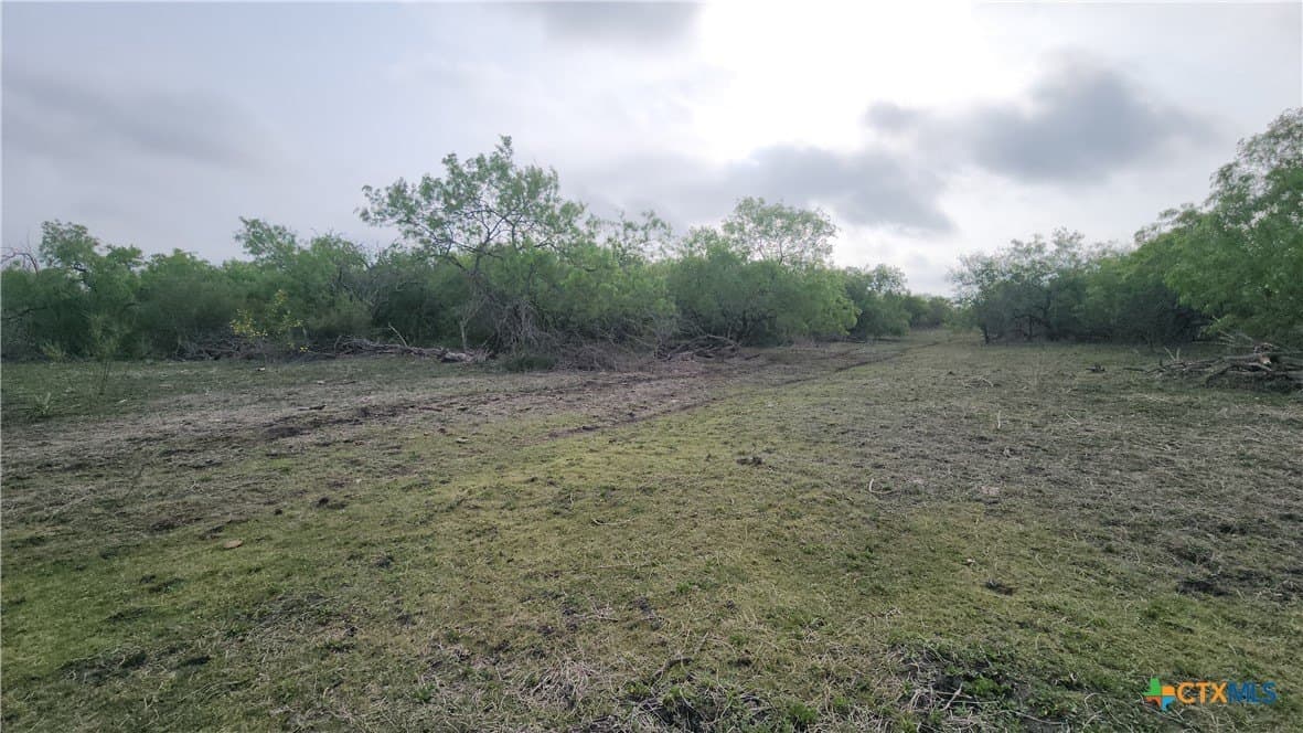 19.39 acres in Victoria County gallery image 2