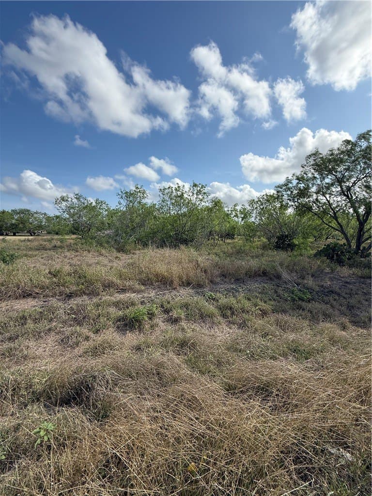 2 acres in Nueces County gallery image 3