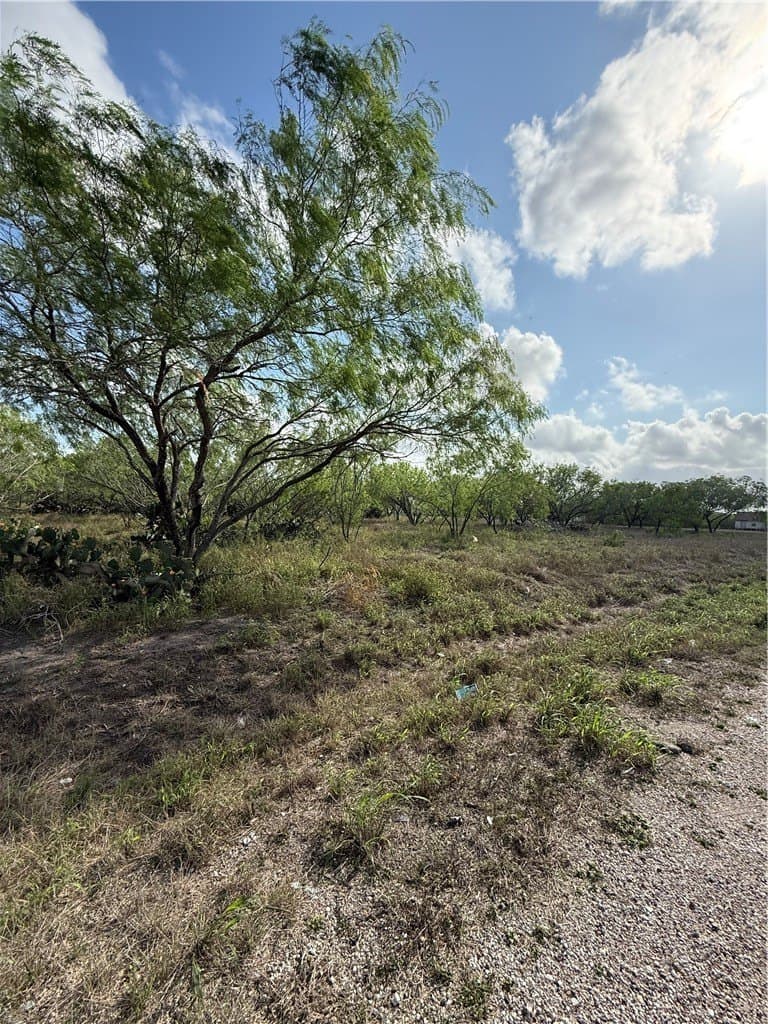 2 acres in Nueces County gallery image 4