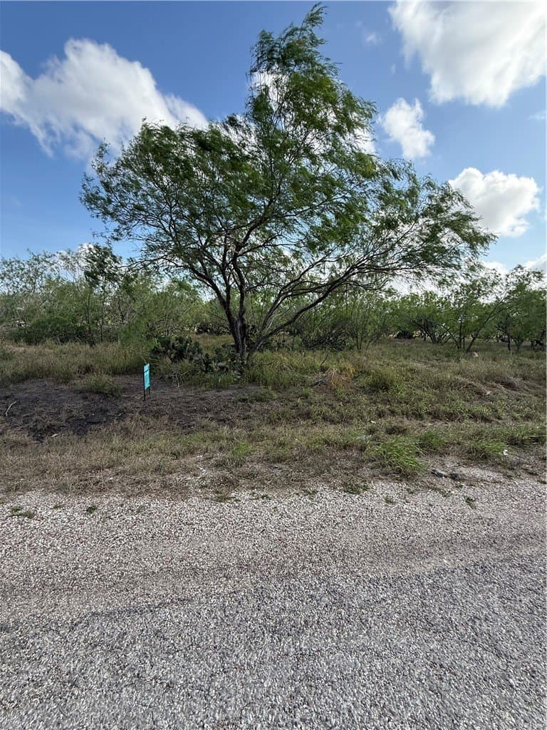 2 acres in Nueces County gallery image 2