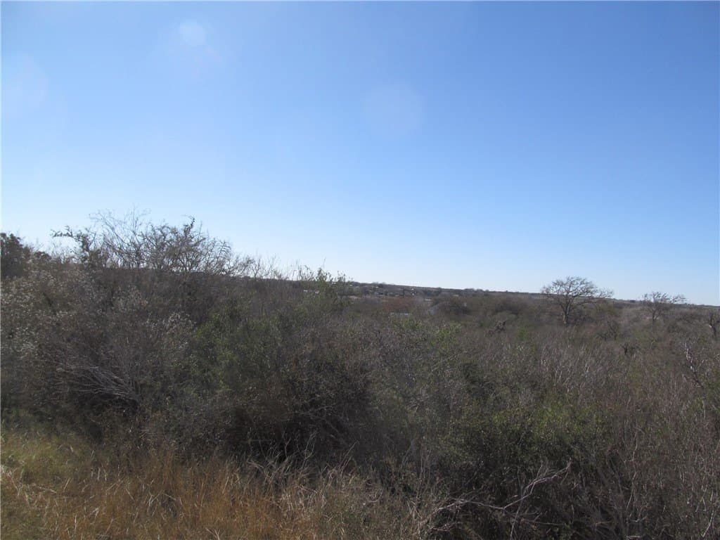 0.49 acres in Live Oak County - photo 5