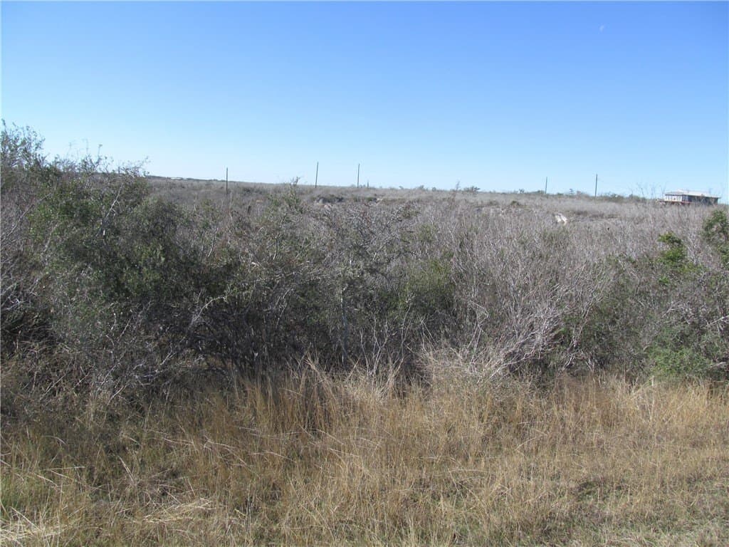 0.49 acres in Live Oak County - photo 4