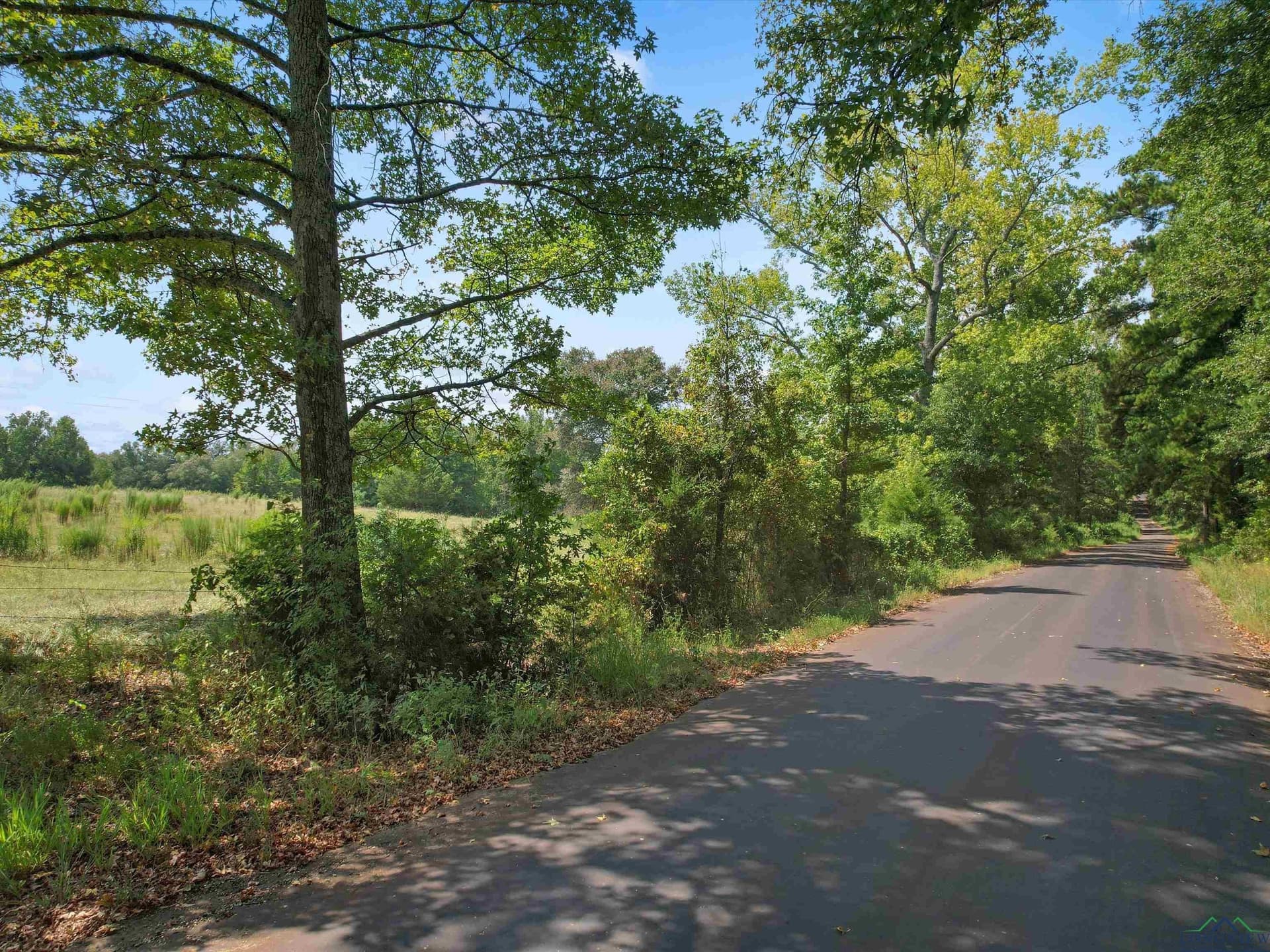 29.75 acres in Upshur County featured view