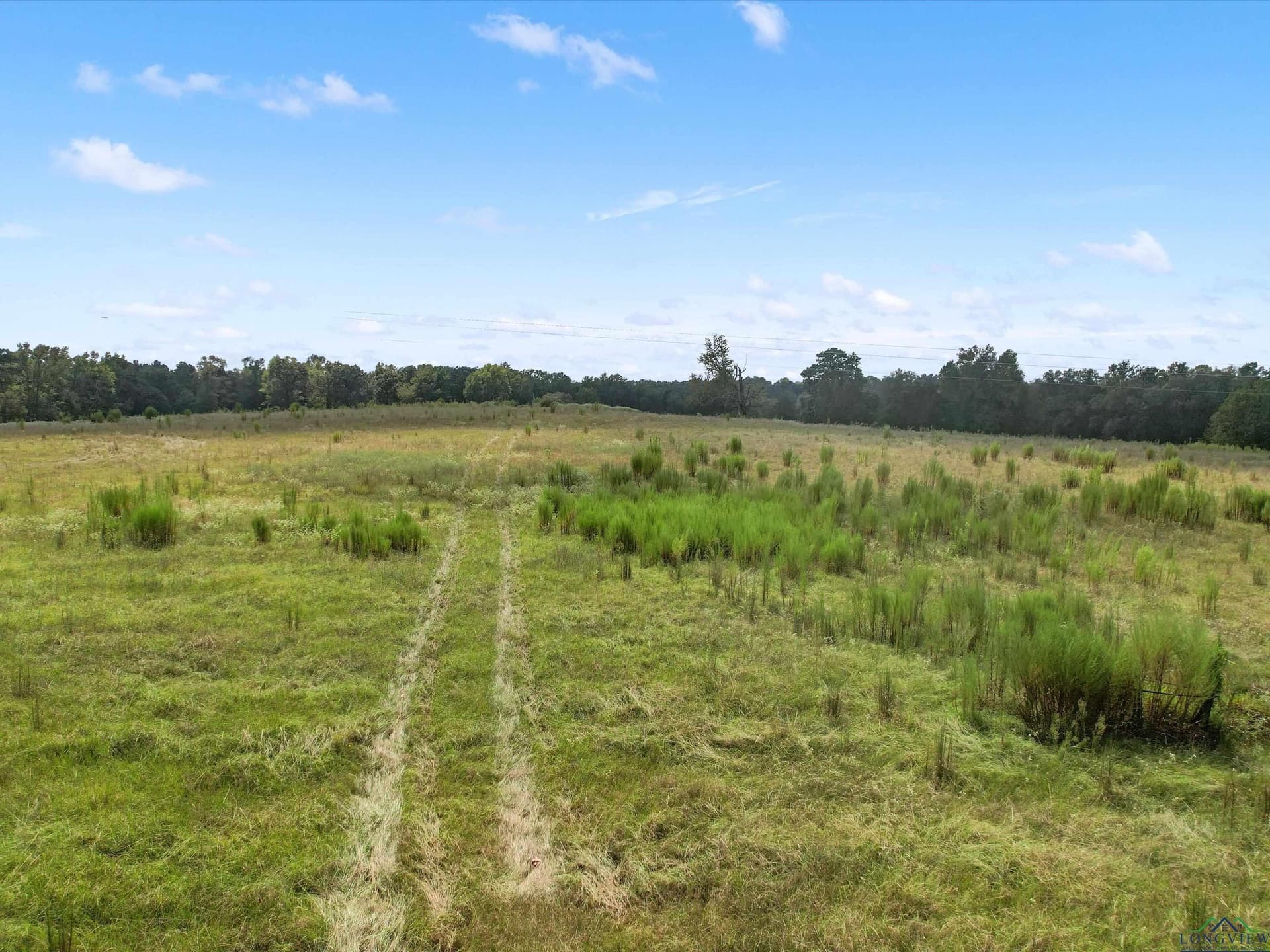 29.75 acres in Upshur County gallery image 4
