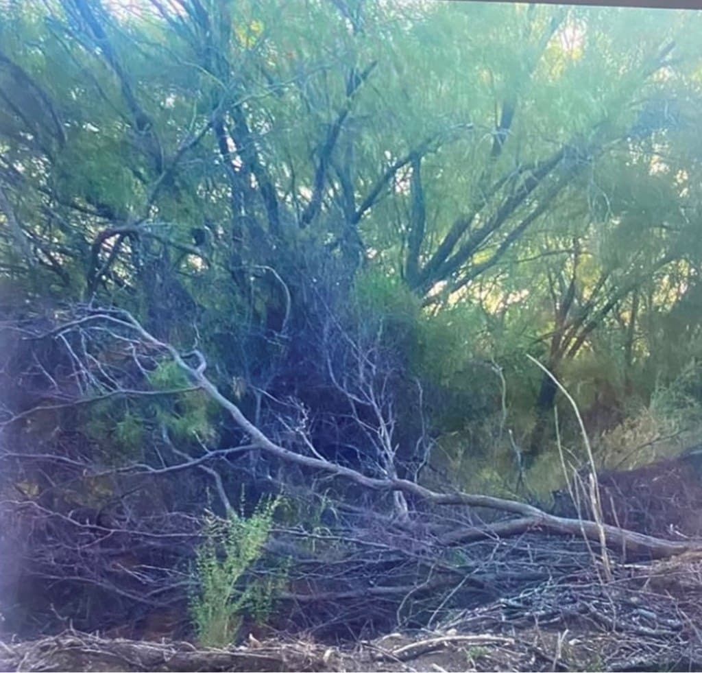 0.43 acres in Maverick County gallery image 3