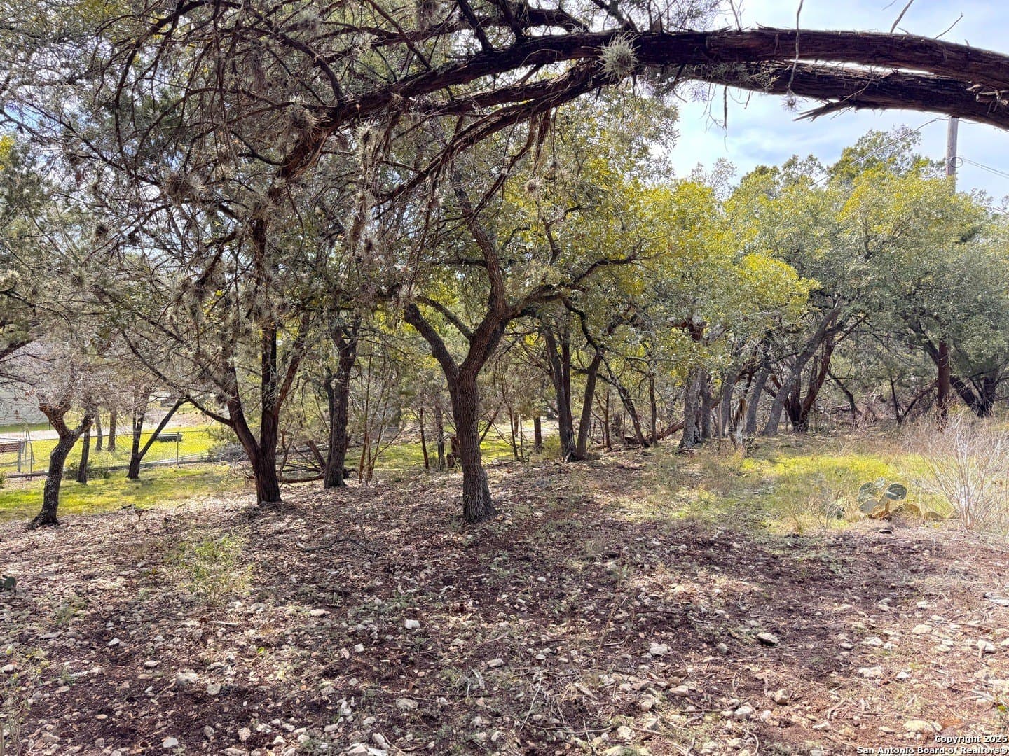 0.34 acres in Comal County gallery image 4