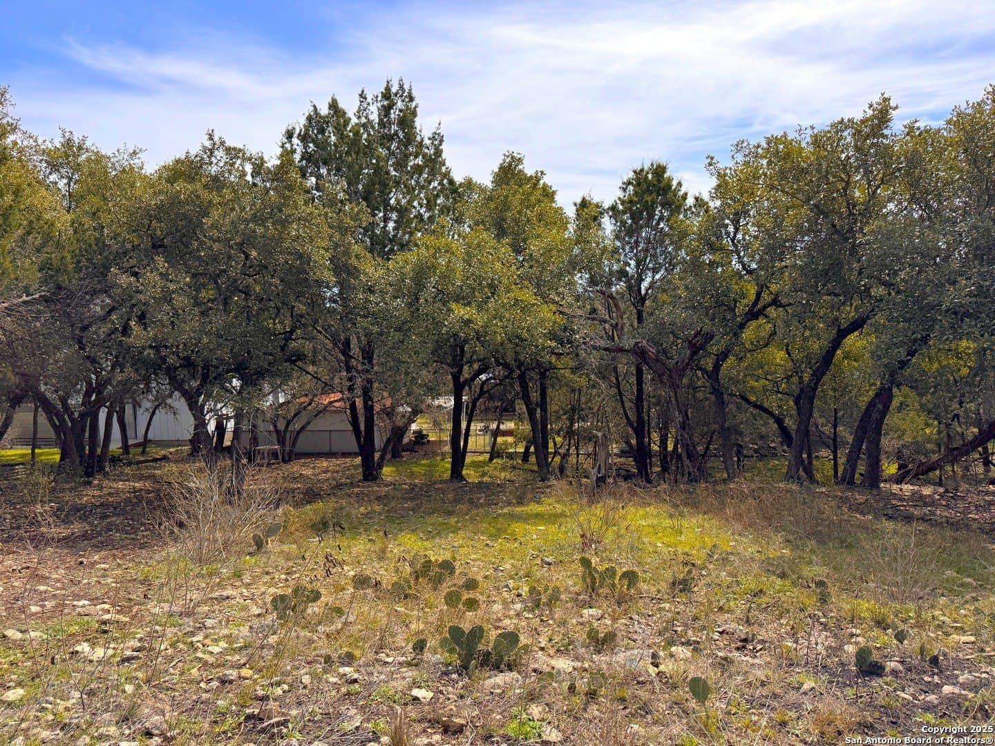 0.34 acres in Comal County gallery image 3