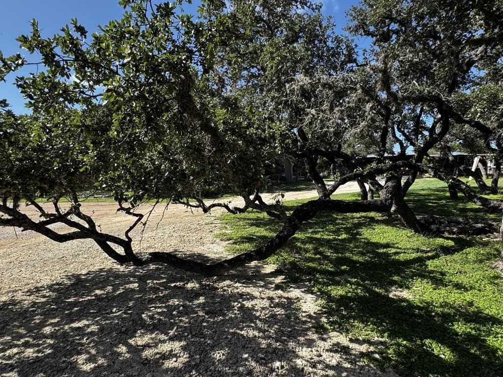 18.86 acres in Bandera County - photo 4