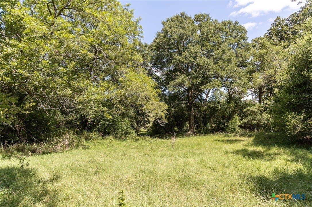 33.36 acres in Lavaca County gallery image 4