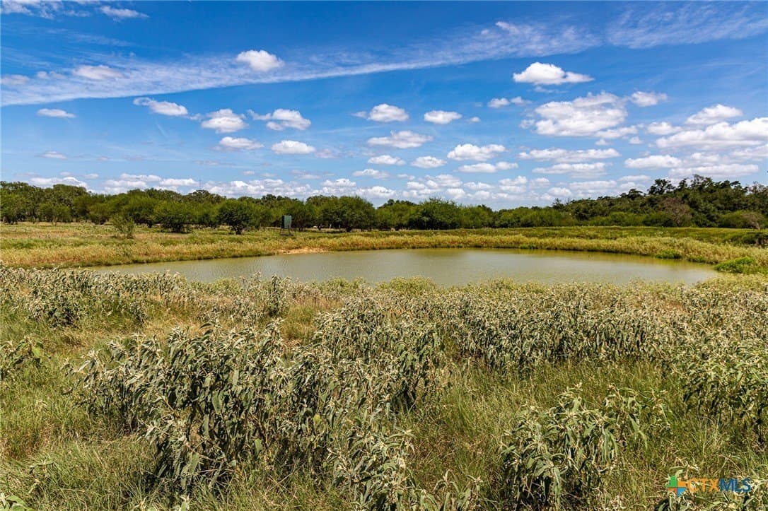 33.36 acres in Lavaca County gallery image 2