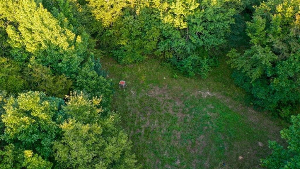 71.68 acres in Marion County gallery image 2