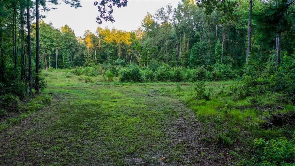 71.68 acres in Marion County gallery image 3