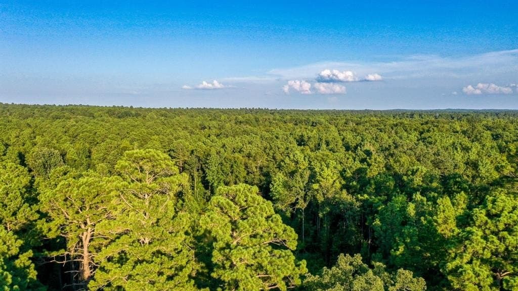 71.68 acres in Marion County featured view