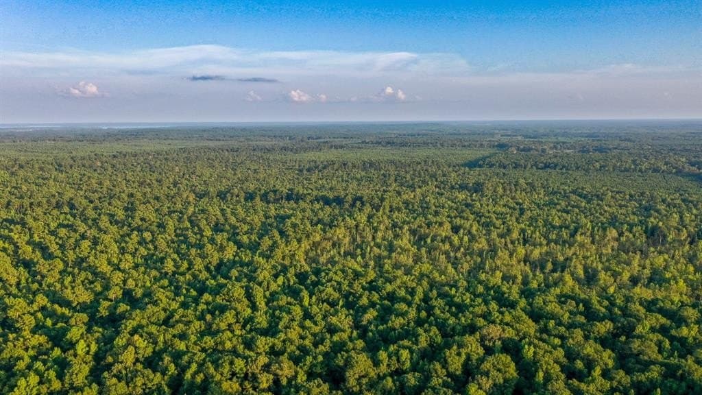 71.68 acres in Marion County gallery image 4