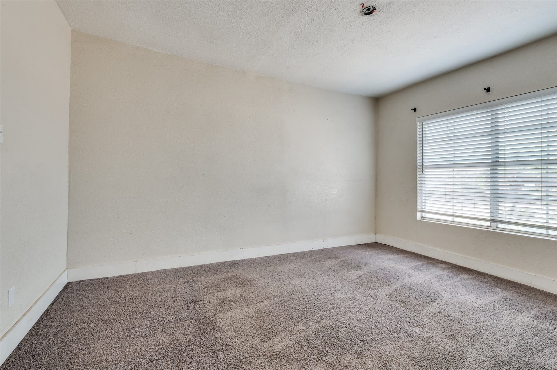 0.17 acres in Dallas County - photo 13