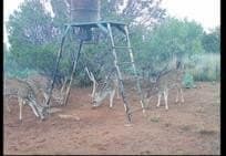 177 acres in Runnels County