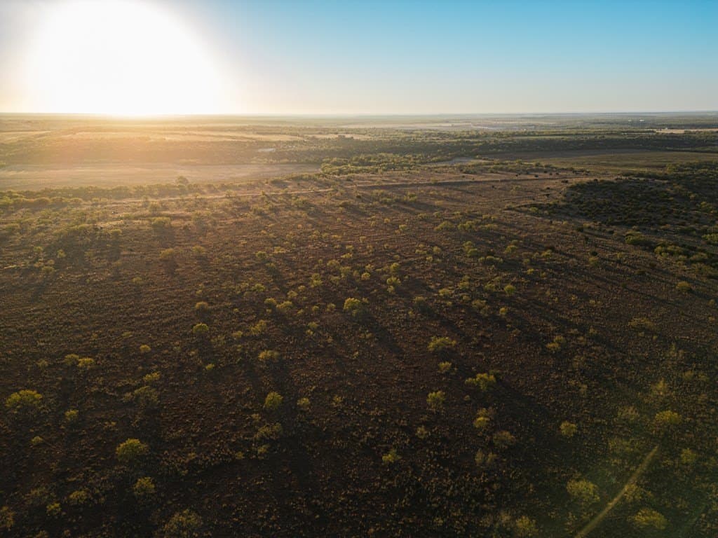 177 acres in Runnels County gallery image 3