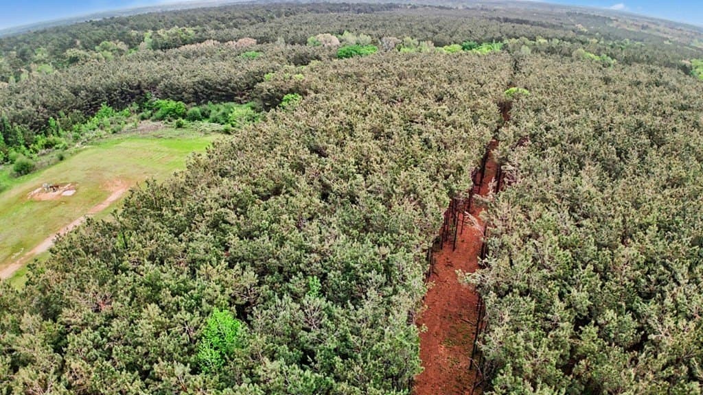 10 acres in Texas County featured view