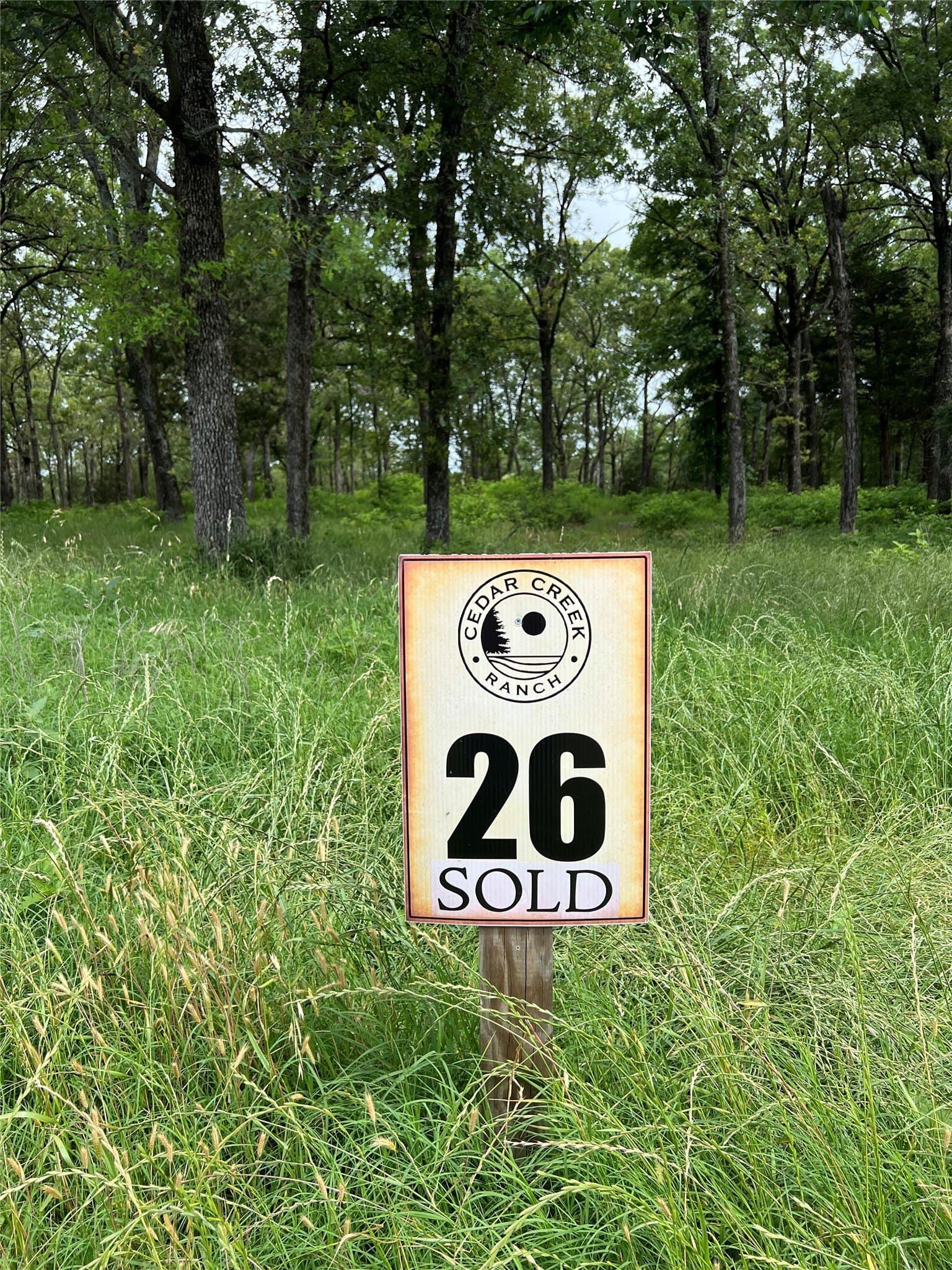 6.64 acres in Henderson County - photo 6