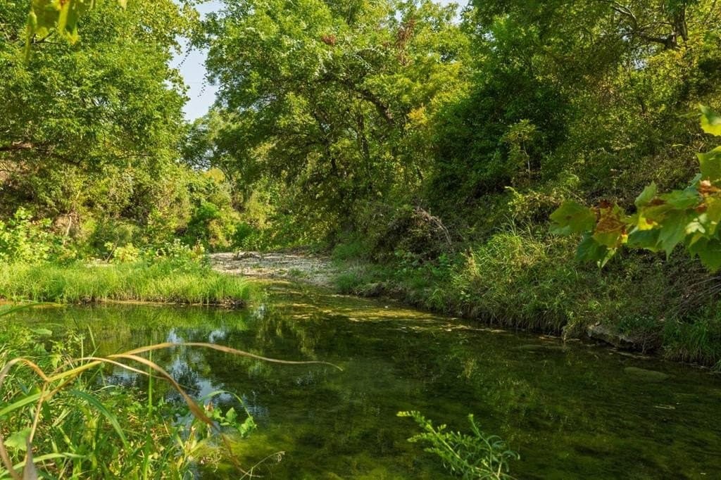 16.51 acres in Hood County gallery image 4