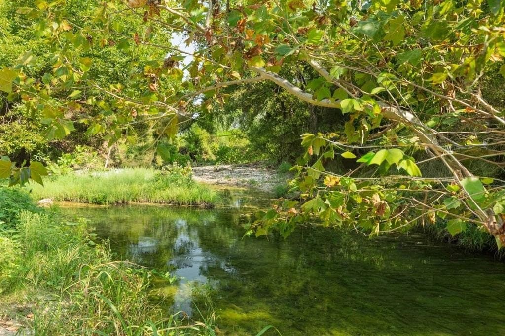 16.51 acres in Hood County gallery image 2