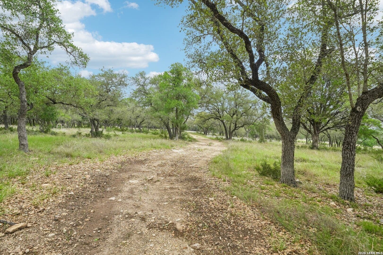 5 acres in Comal County gallery image 3