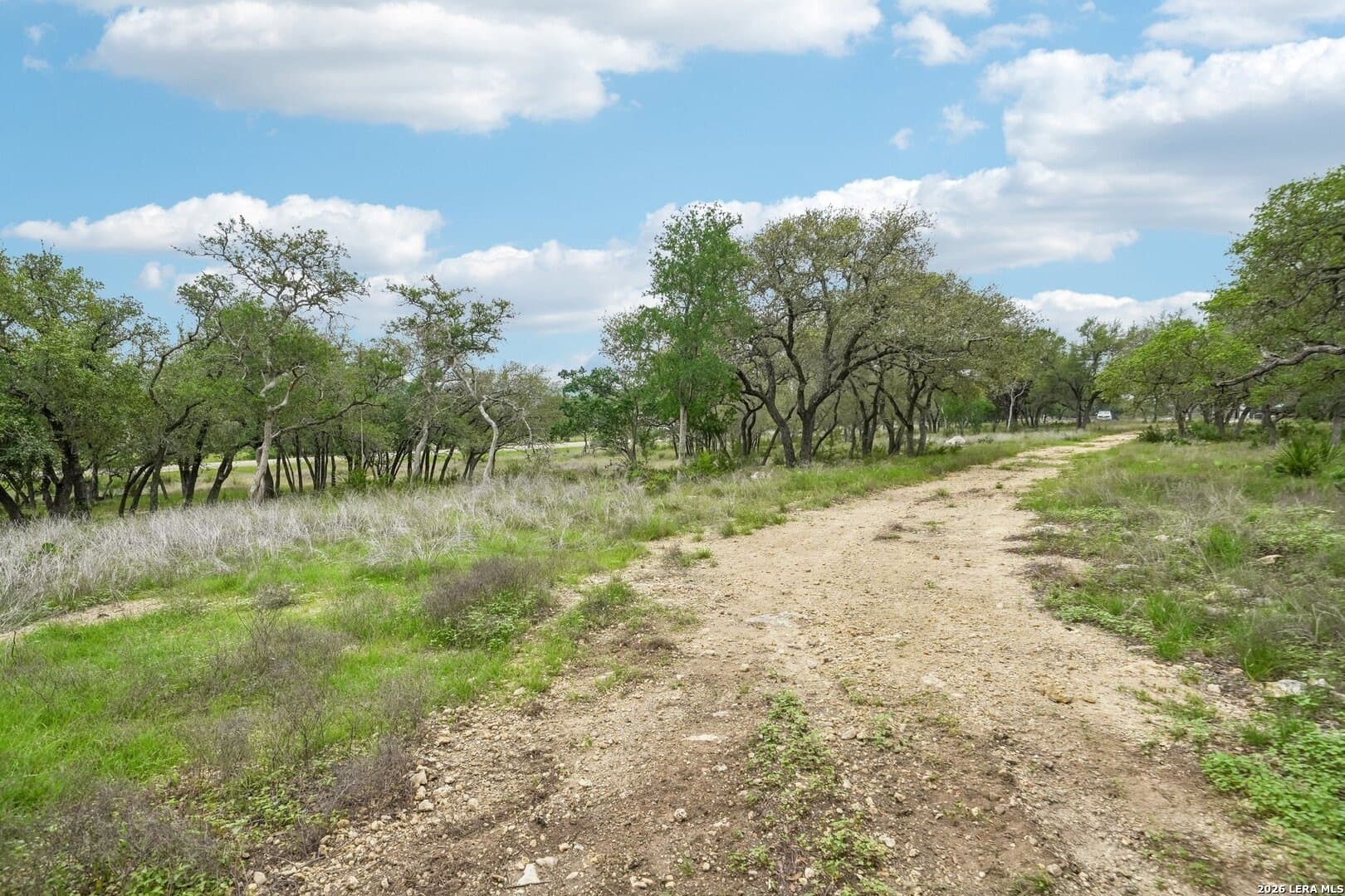 5 acres in Comal County gallery image 4