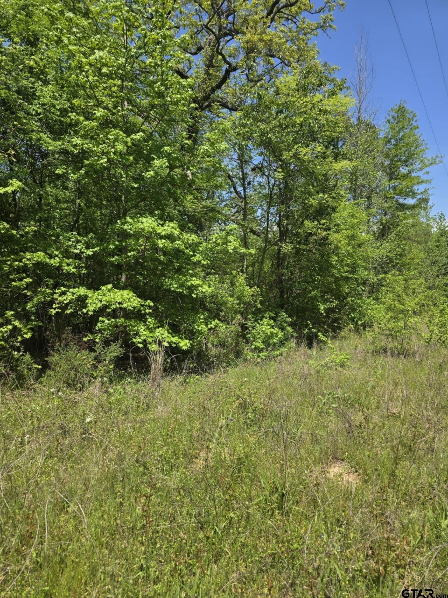 5 acres in Smith County - photo 12
