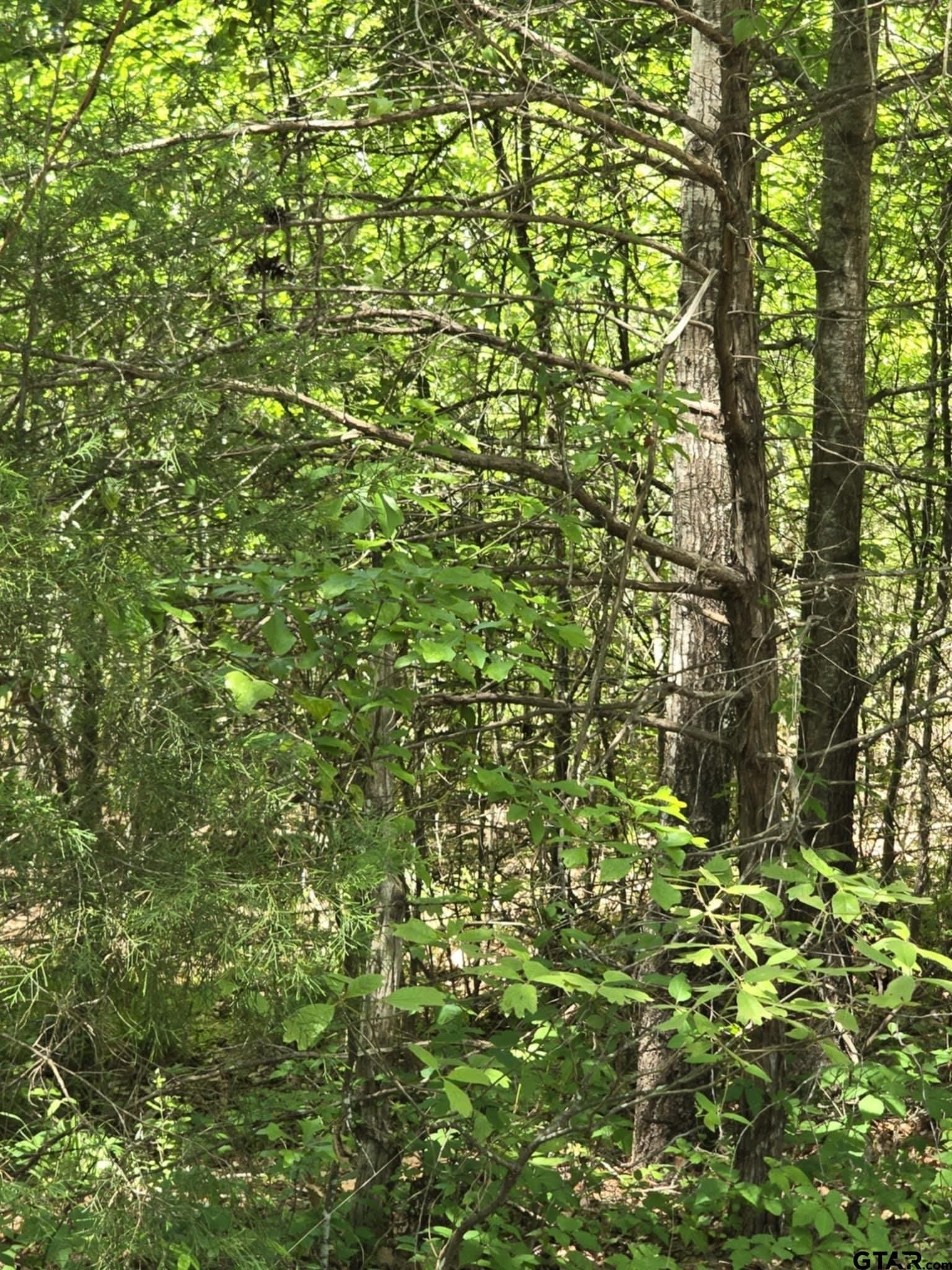 5 acres in Smith County - photo 13