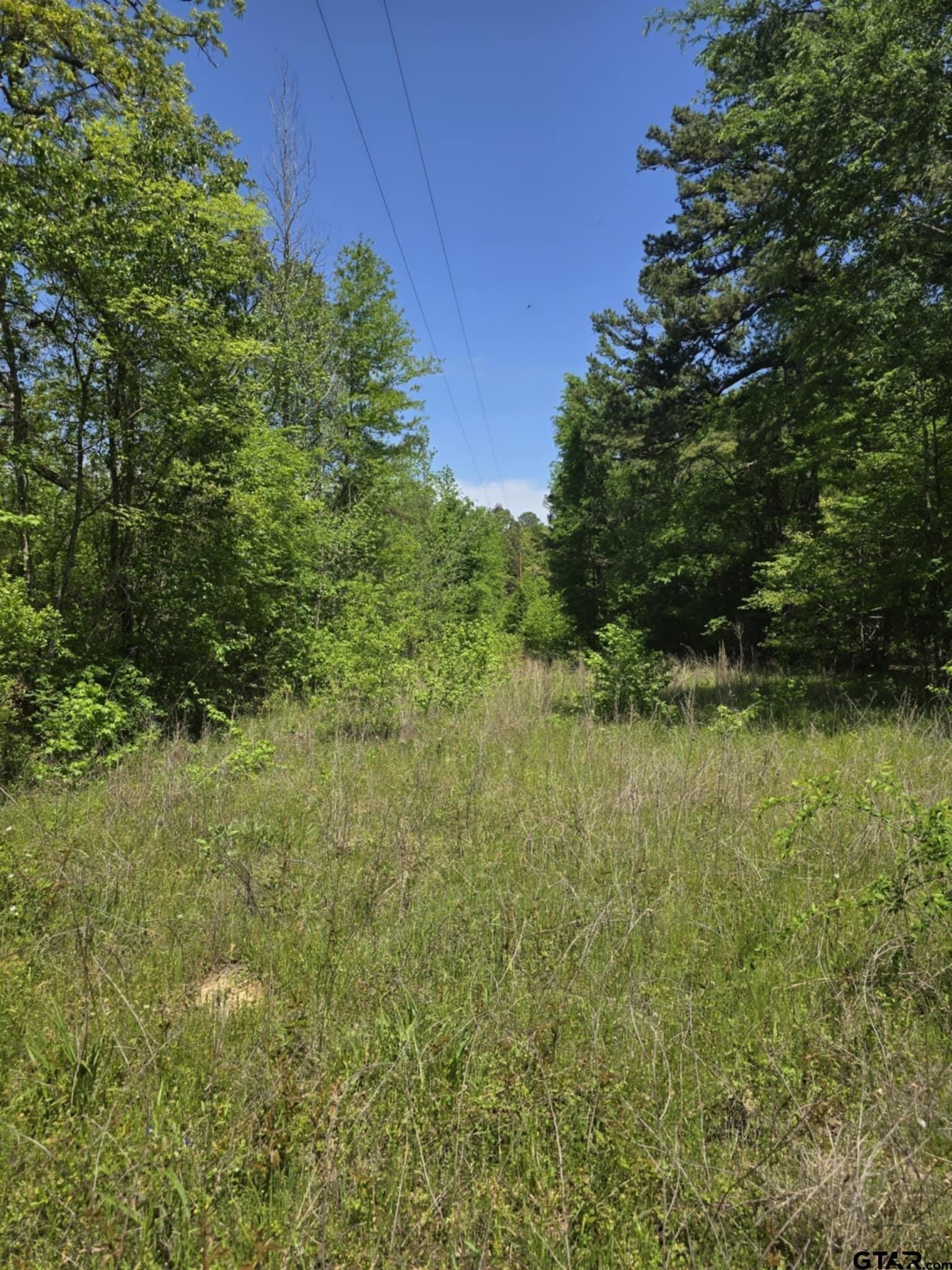 5 acres in Smith County - photo 10
