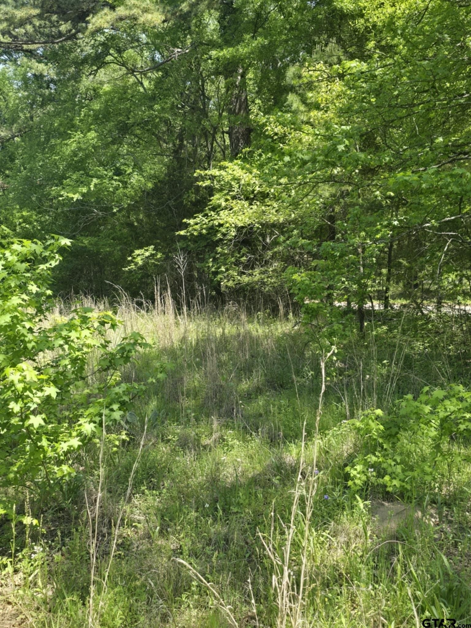 5 acres in Smith County - photo 11
