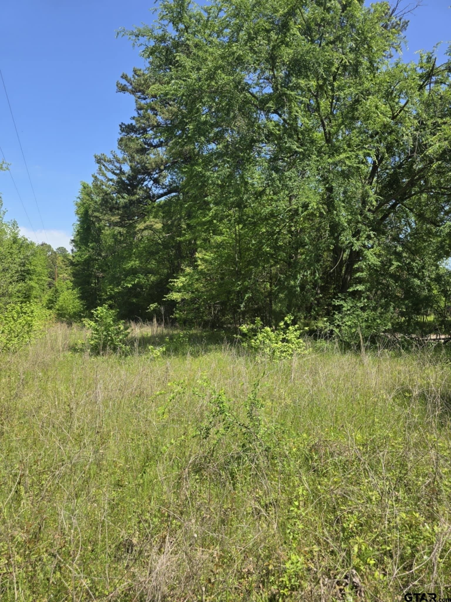 5 acres in Smith County - photo 7