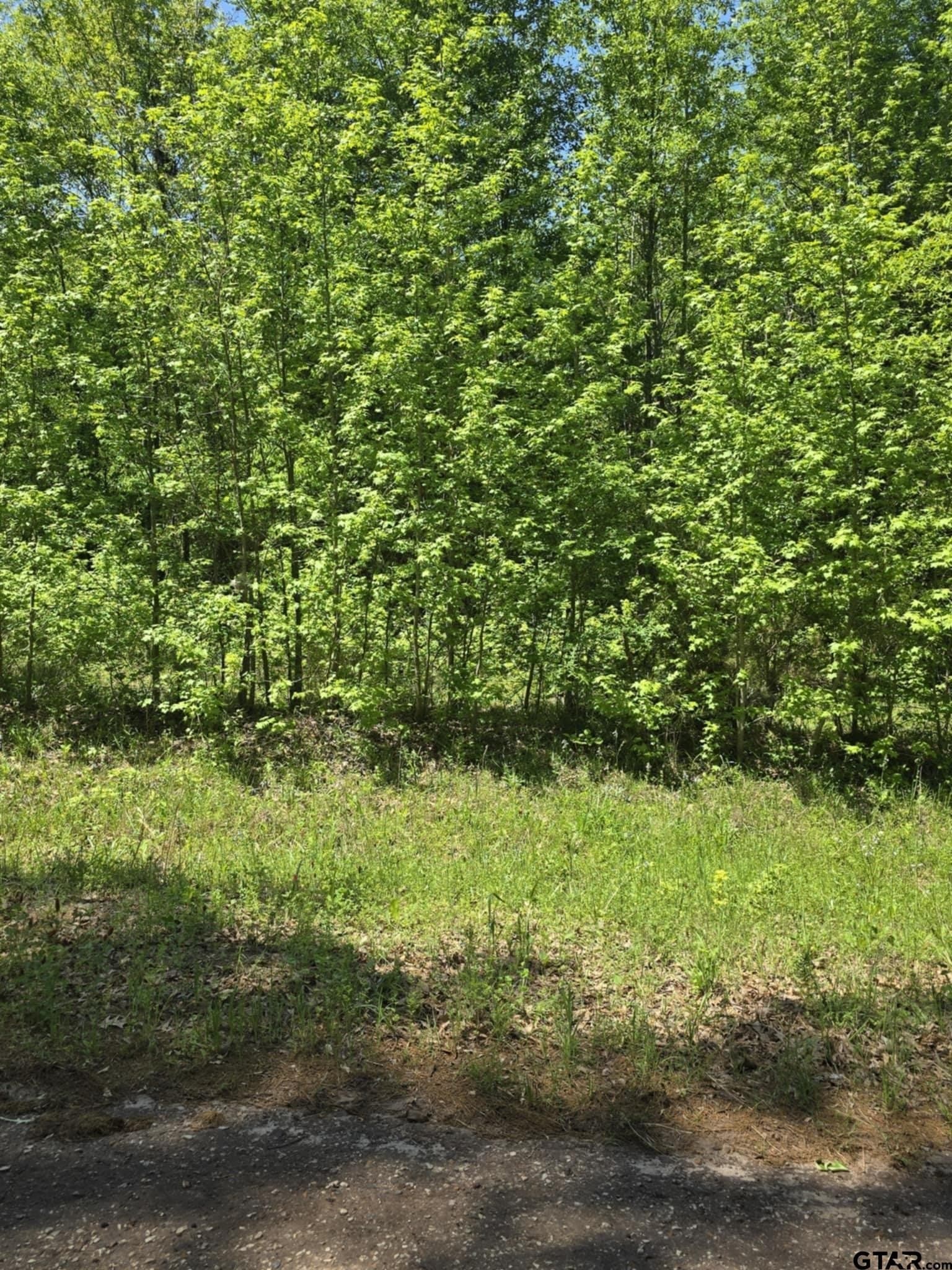 5 acres in Smith County - photo 9