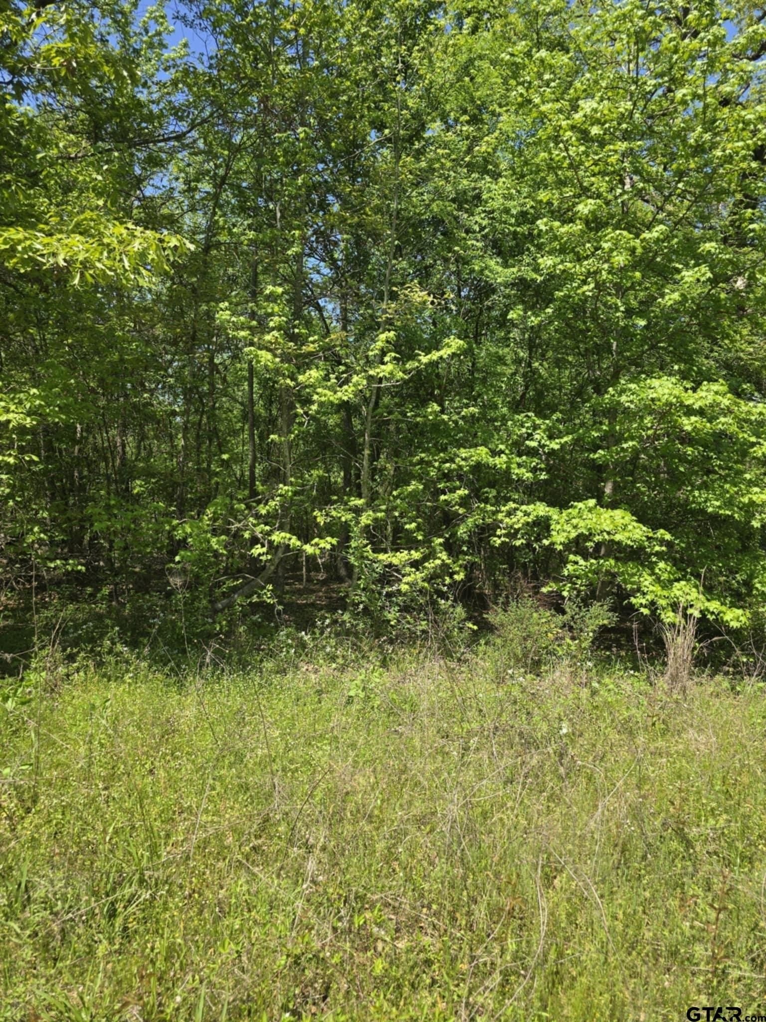 5 acres in Smith County - photo 8