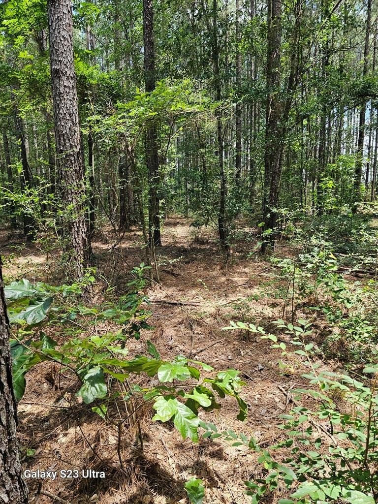 30.33 acres in Texas County - photo 9