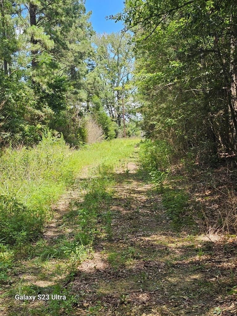 30.33 acres in Texas County gallery image 3