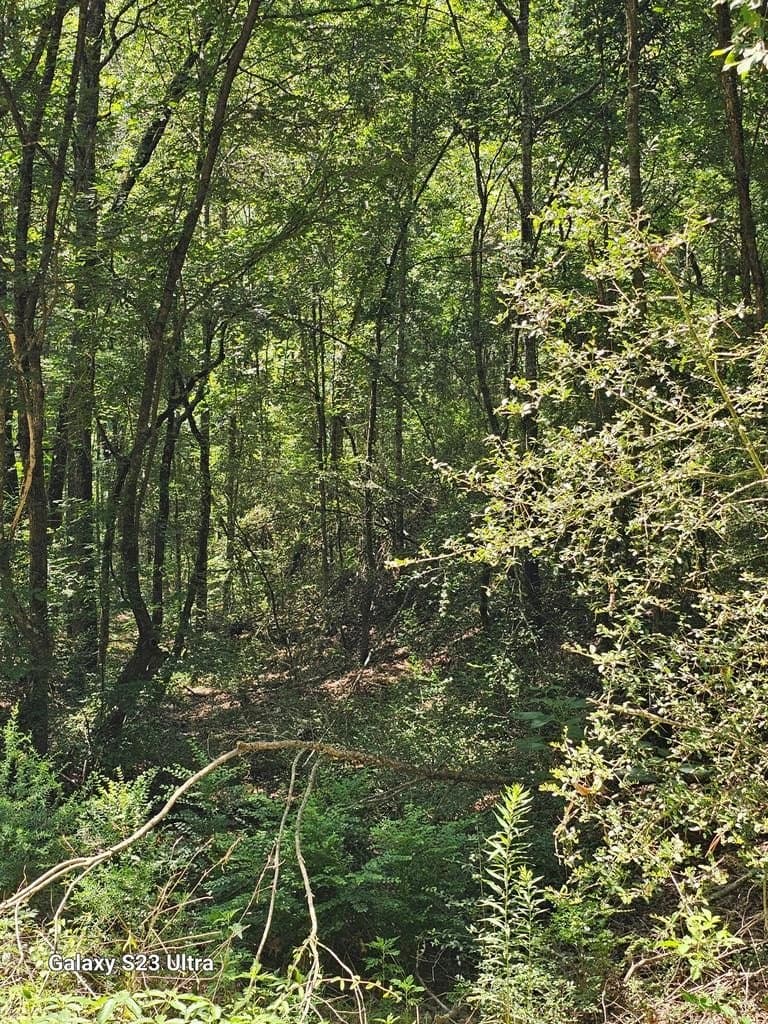 30.33 acres in Texas County - photo 8