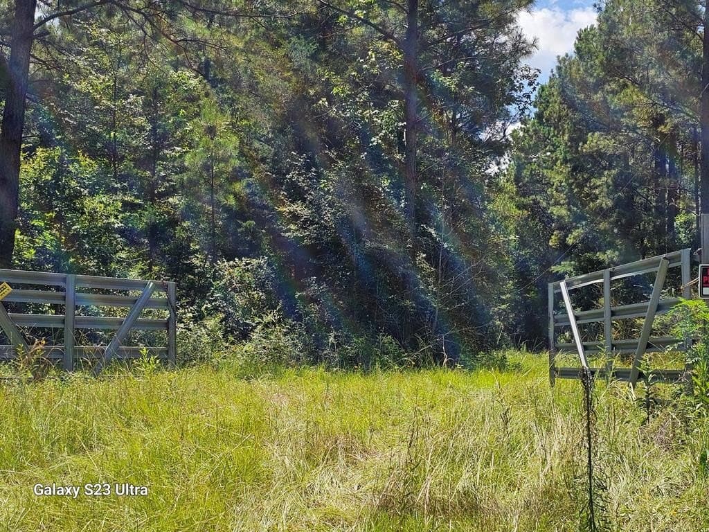 30.33 acres in Texas County featured view